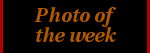 potw
